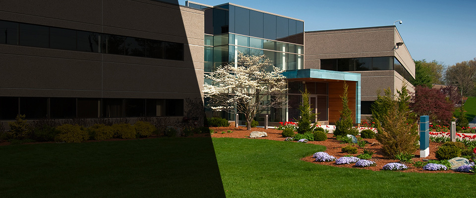 San Tan Valley Landscapers