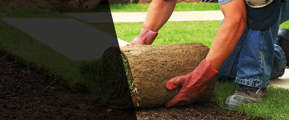 San Tan Valley Landscapers